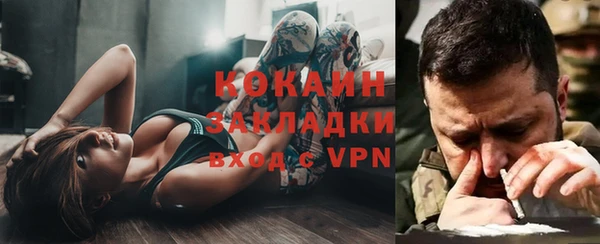 ПСИЛОЦИБИНОВЫЕ ГРИБЫ Арсеньев