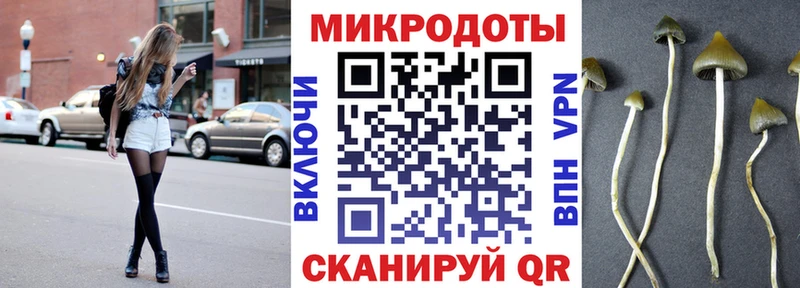 закладка  Дальнереченск  Галлюциногенные грибы прущие грибы 