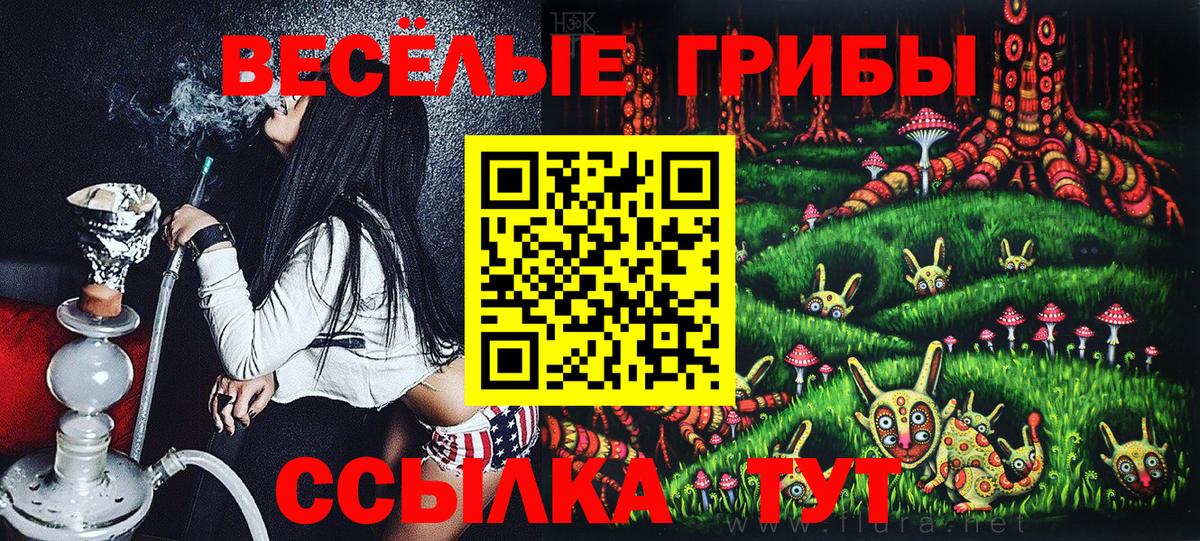 Псилоцибиновые грибы мицелий Дальнереченск