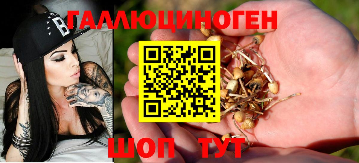 Псилоцибиновые грибы Psilocybe  Галлюциногенные грибы MAGIC MUSHROOMS  Вход с VPN  Дальнереченск 